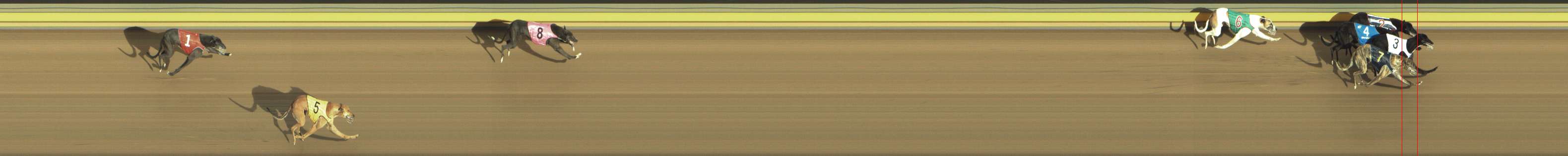 Photo finish for Shepparton Race 1
