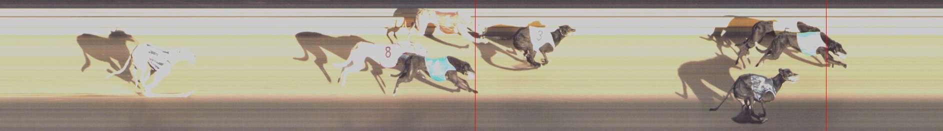 Photo finish for Shepparton Race 2