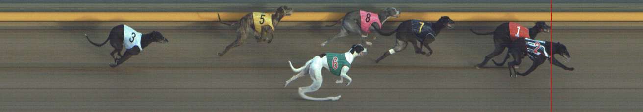 Photo finish for Shepparton Race 3