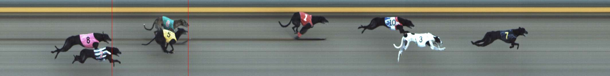 Photo finish for Shepparton Race 5