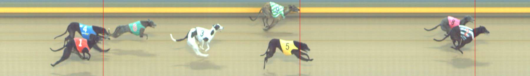 Photo finish for Shepparton Race 6