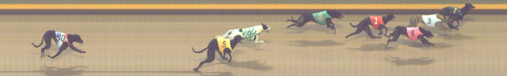 Photo finish for Shepparton Race 7