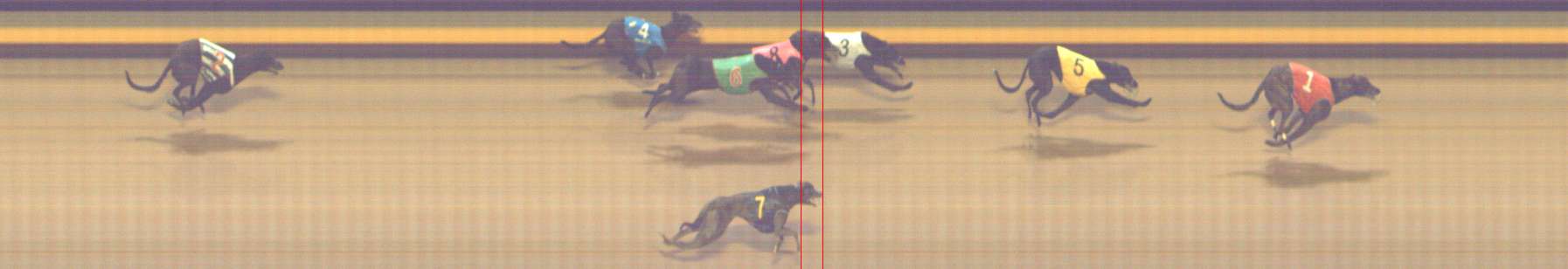Photo finish for Shepparton Race 8