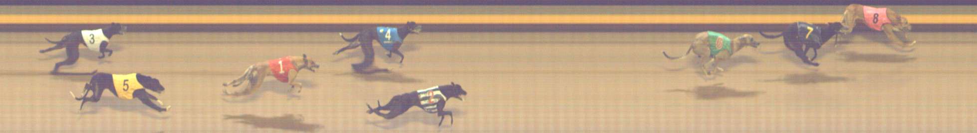 Photo finish for Shepparton Race 9