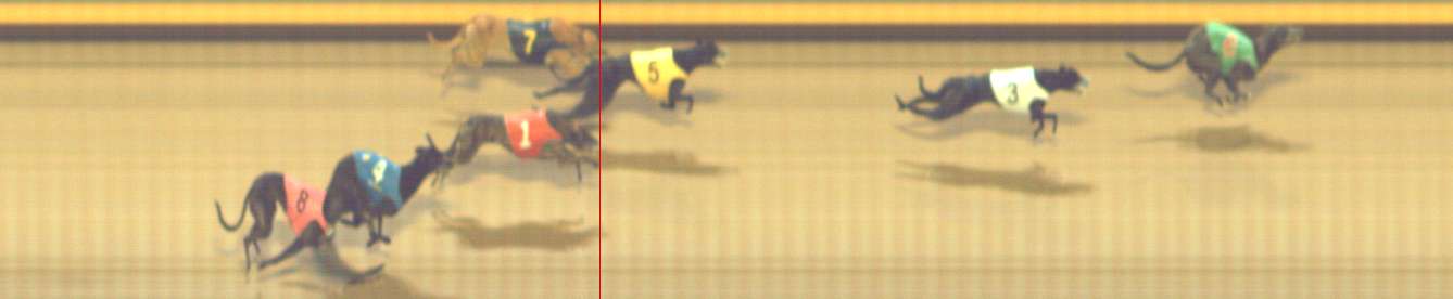 Photo finish for Shepparton Race 11