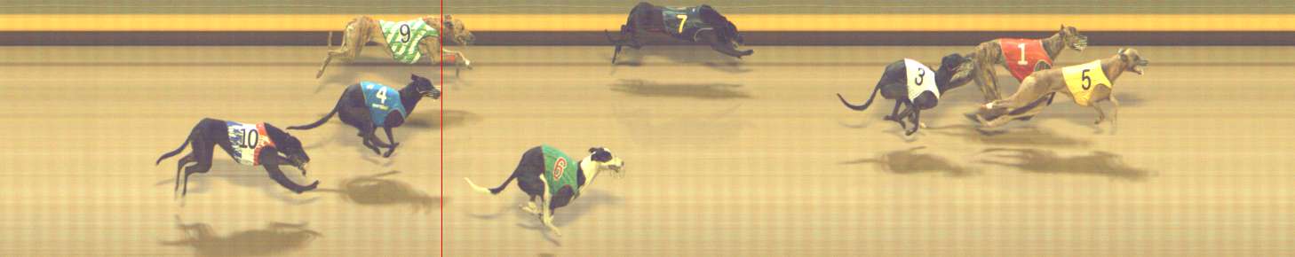 Photo finish for Shepparton Race 12