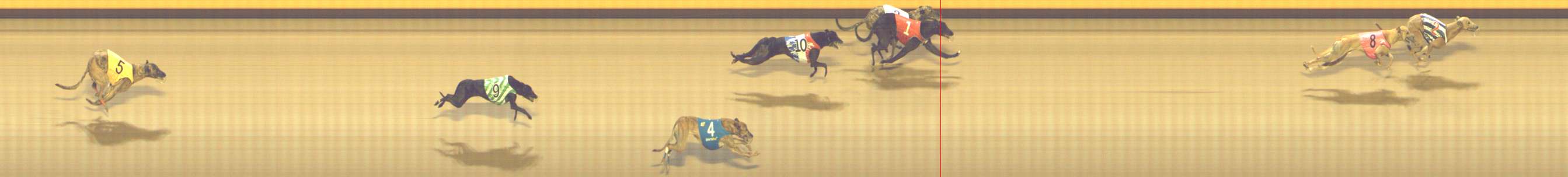 Photo finish for Shepparton Race 13