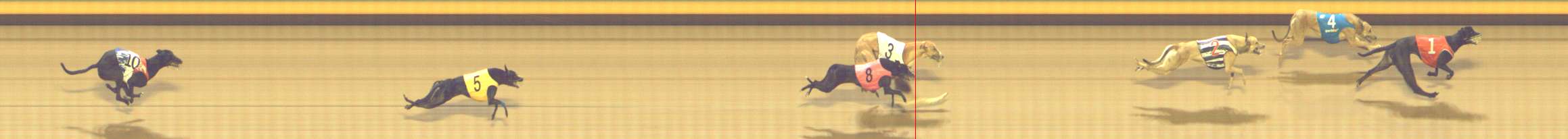 Photo finish for Shepparton Race 14