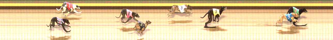 Photo finish for Shepparton Race 10