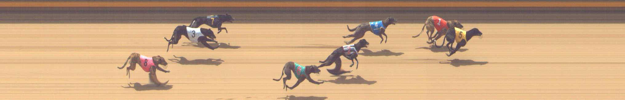 Photo finish for Shepparton Race 1