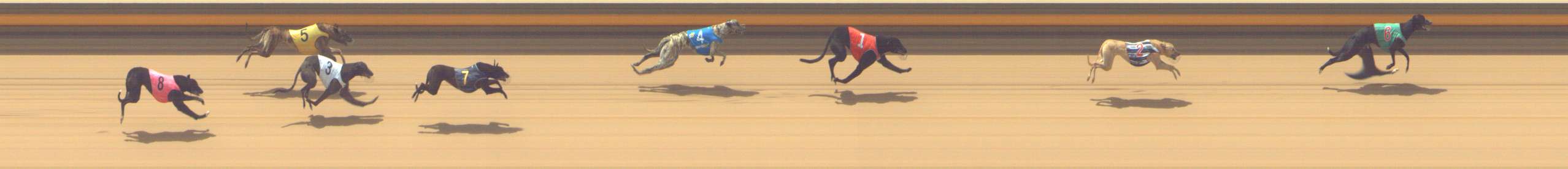 Photo finish for Shepparton Race 2