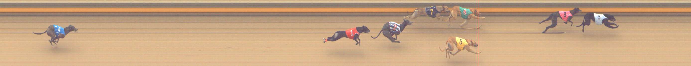 Photo finish for Shepparton Race 3