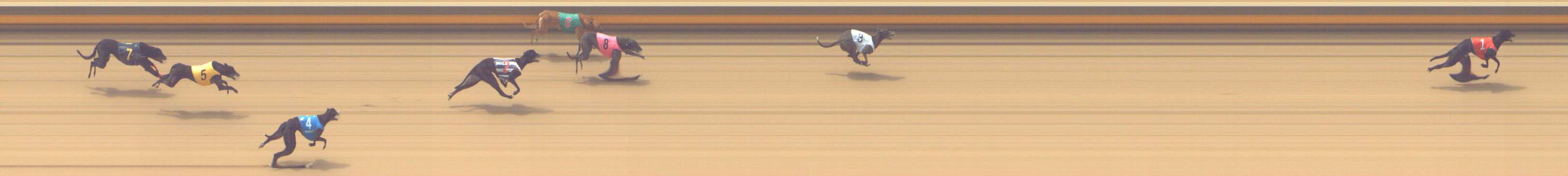 Photo finish for Shepparton Race 4