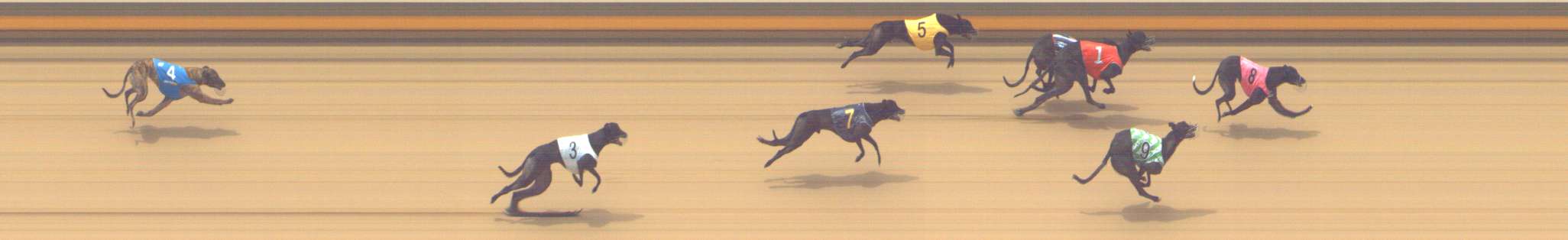 Photo finish for Shepparton Race 6