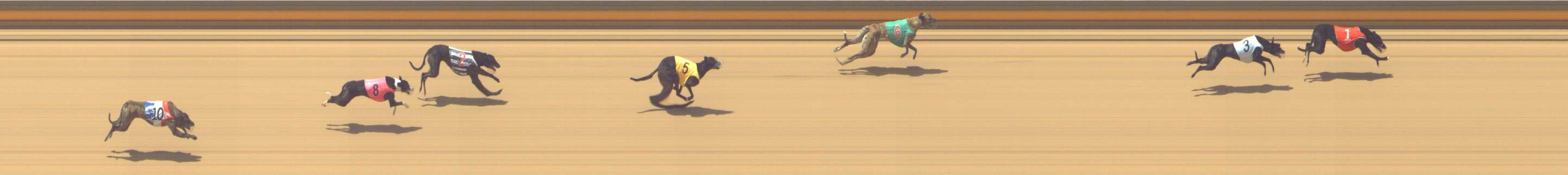Photo finish for Shepparton Race 7
