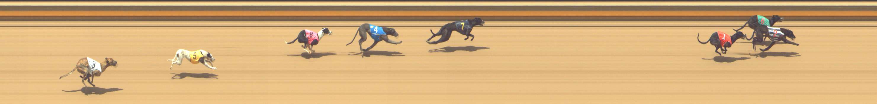 Photo finish for Shepparton Race 9