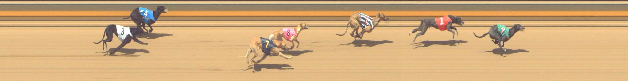 Photo finish for Shepparton Race 10