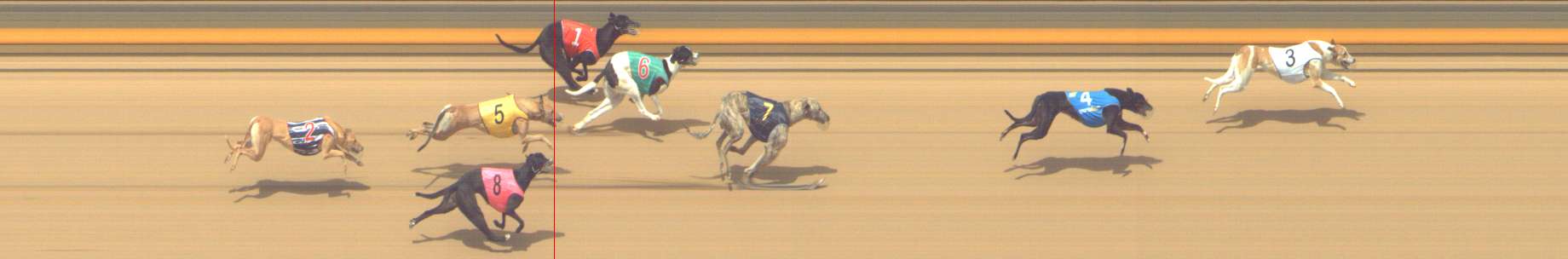 Photo finish for Shepparton Race 11