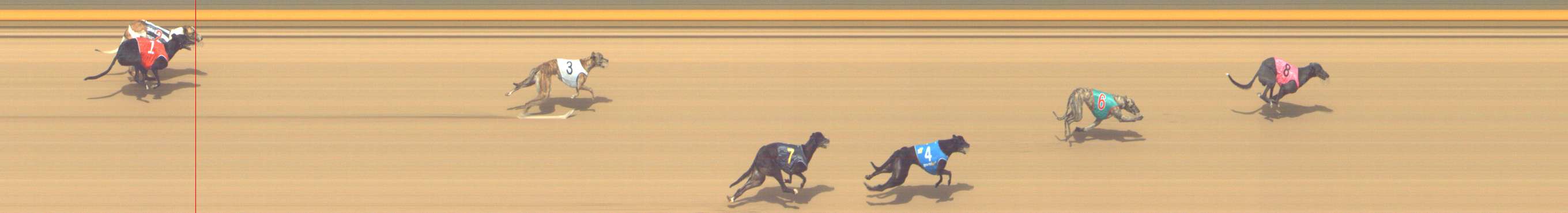 Photo finish for Shepparton Race 13