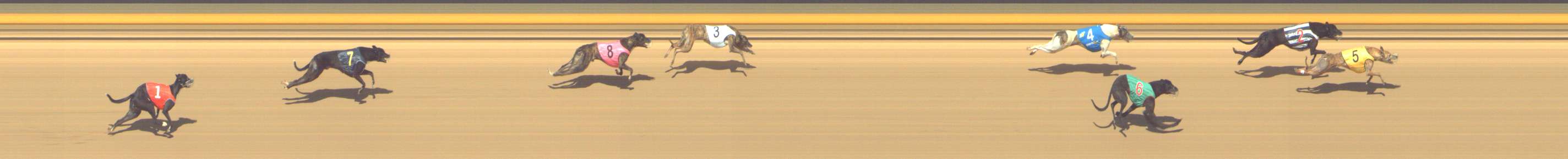 Photo finish for Shepparton Race 14