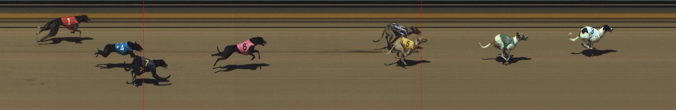 Photo finish for Shepparton Race 1