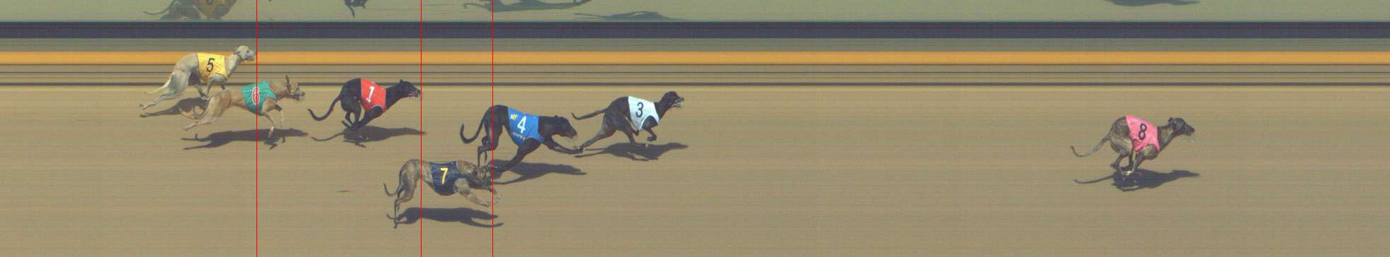 Photo finish for Shepparton Race 3