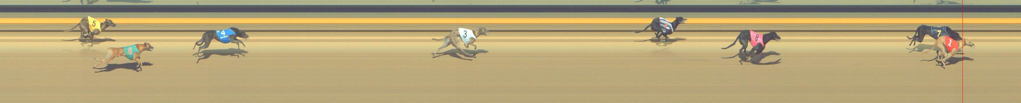 Photo finish for Shepparton Race 5