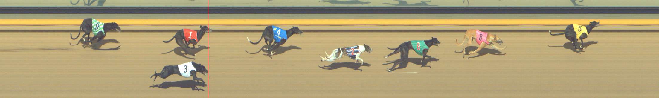 Photo finish for Shepparton Race 6
