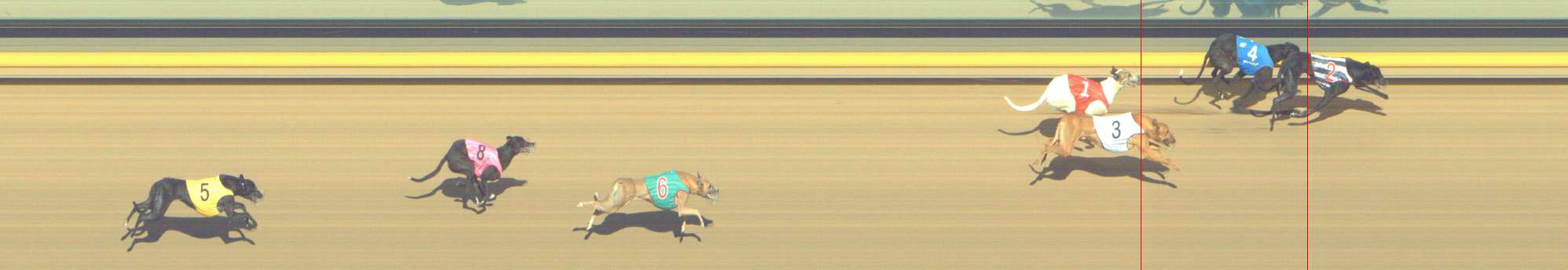 Photo finish for Shepparton Race 7