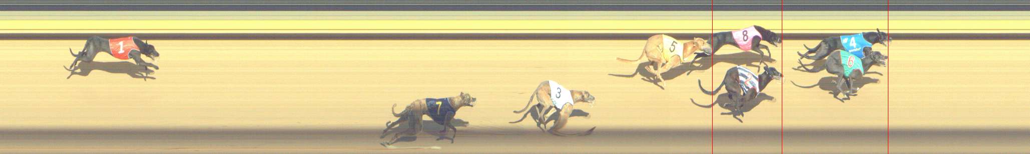 Photo finish for Shepparton Race 8