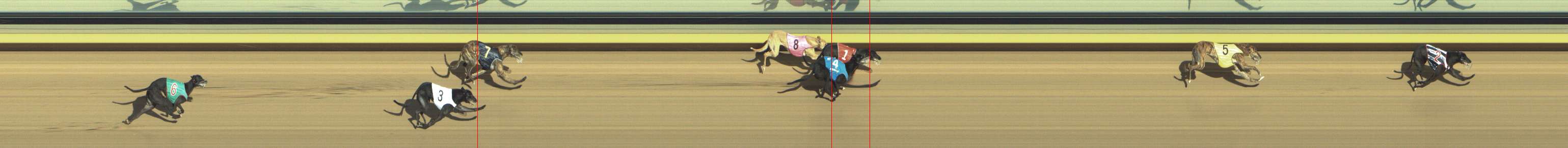 Photo finish for Shepparton Race 10