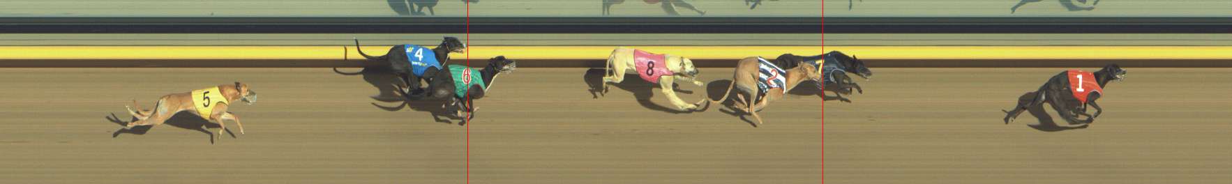 Photo finish for Shepparton Race 11