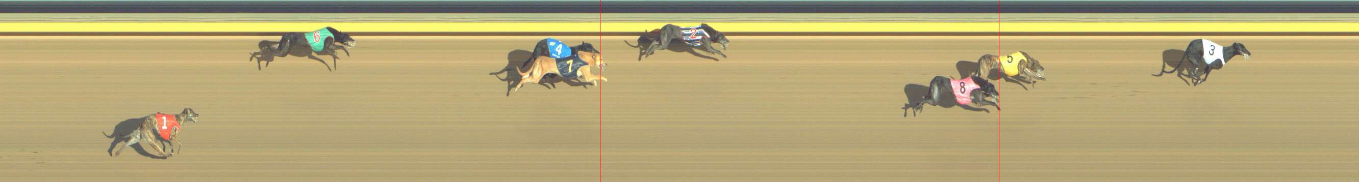Photo finish for Shepparton Race 12