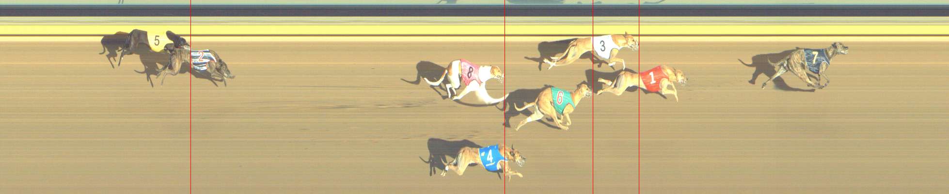Photo finish for Shepparton Race 13