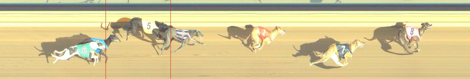 Photo finish for Shepparton Race 14