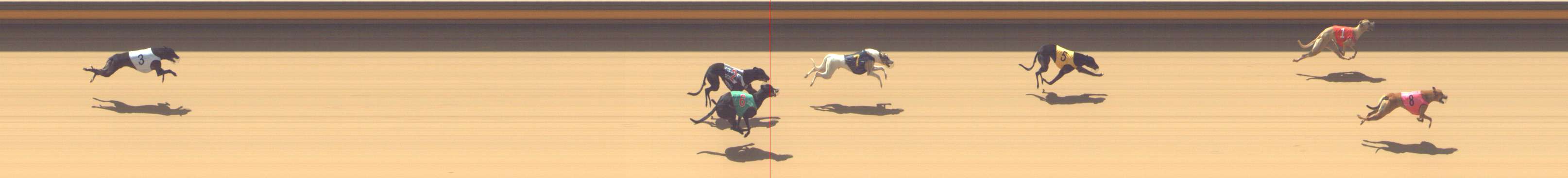Photo finish for Shepparton Race 1