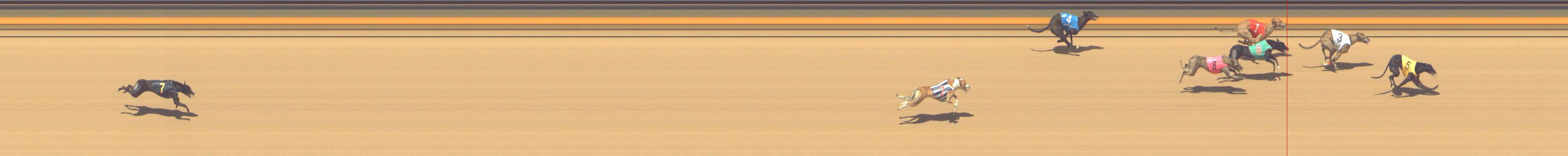 Photo finish for Shepparton Race 12