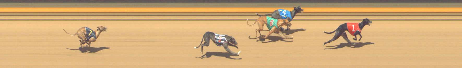 Photo finish for Shepparton Race 13