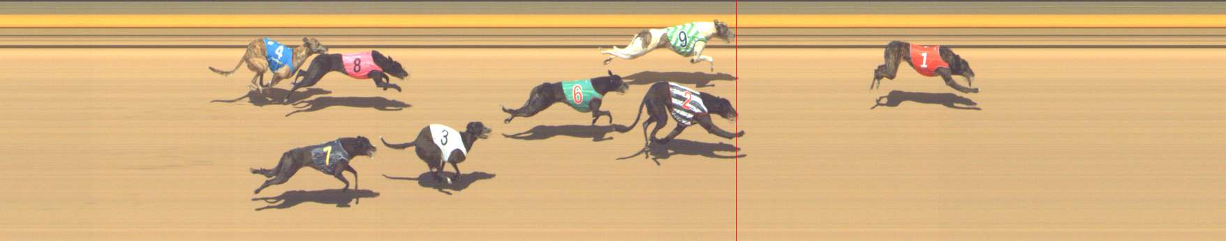 Photo finish for Shepparton Race 14