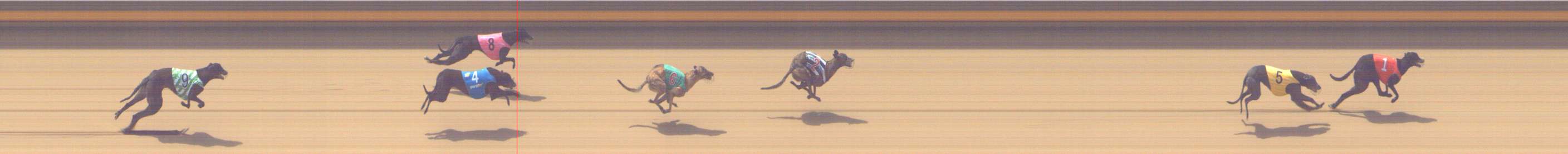 Photo finish for Shepparton Race 3