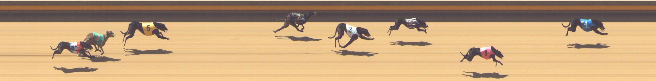 Photo finish for Shepparton Race 4