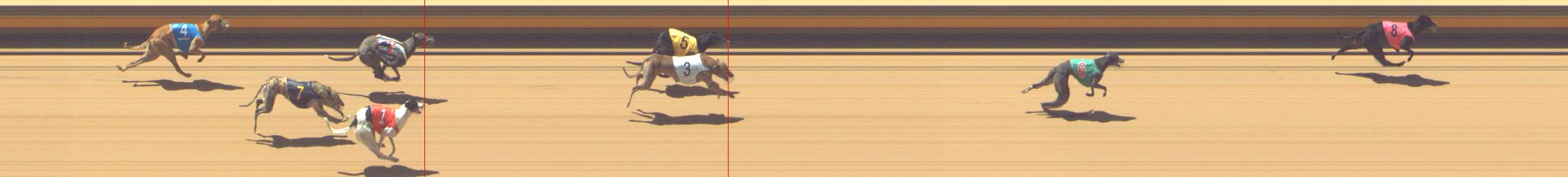 Photo finish for Shepparton Race 5