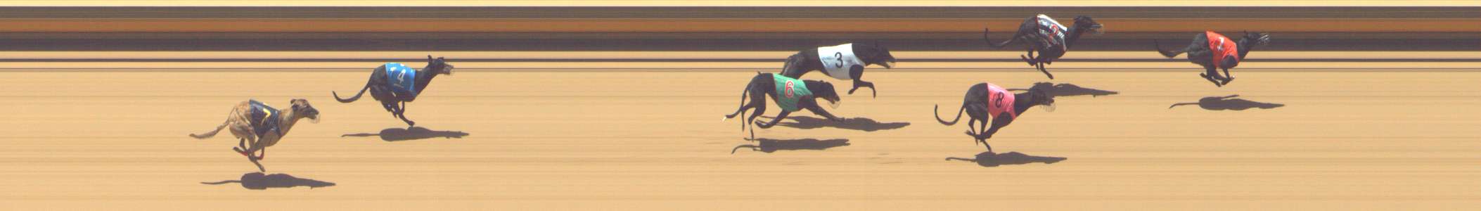 Photo finish for Shepparton Race 6