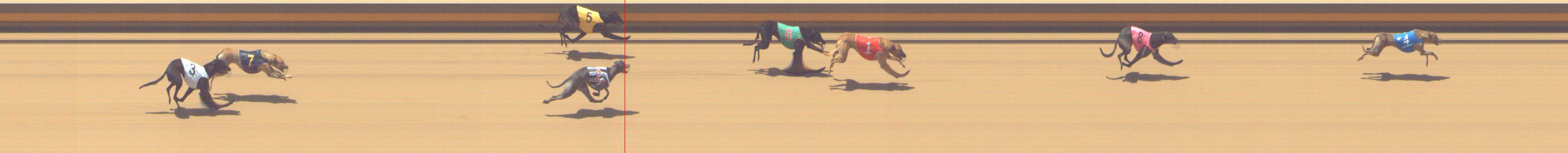 Photo finish for Shepparton Race 7