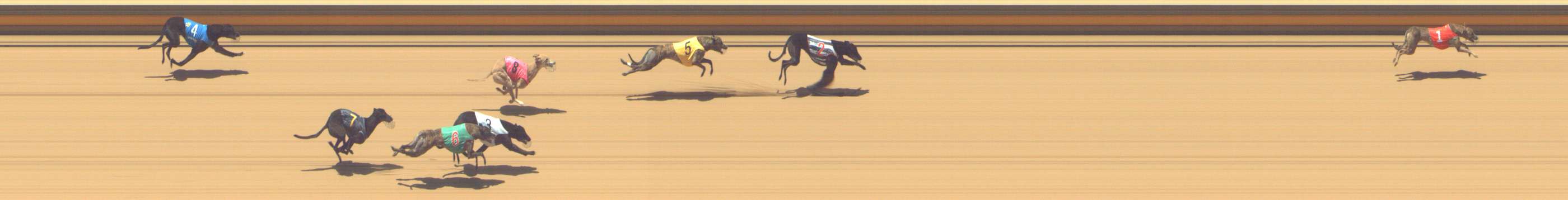 Photo finish for Shepparton Race 8