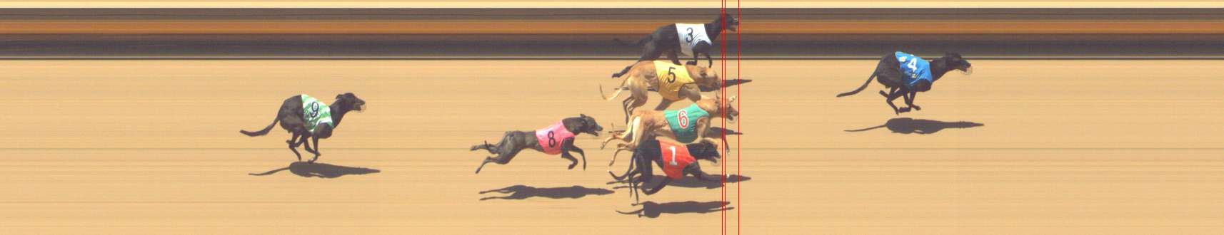 Photo finish for Shepparton Race 9