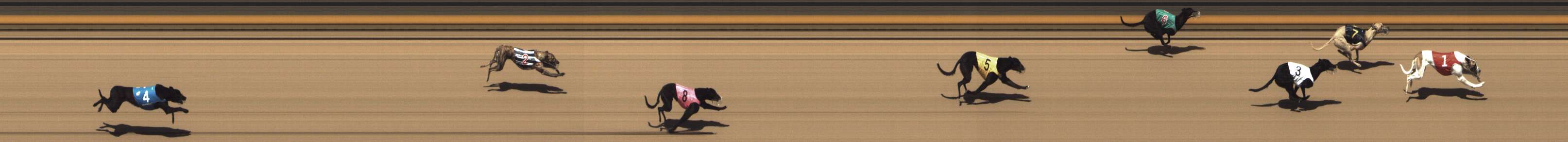 Photo finish for Shepparton Race 1