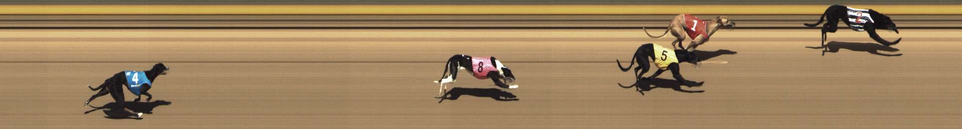 Photo finish for Shepparton Race 3