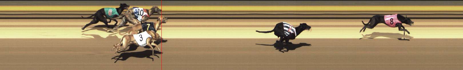 Photo finish for Shepparton Race 4
