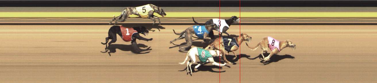 Photo finish for Shepparton Race 5